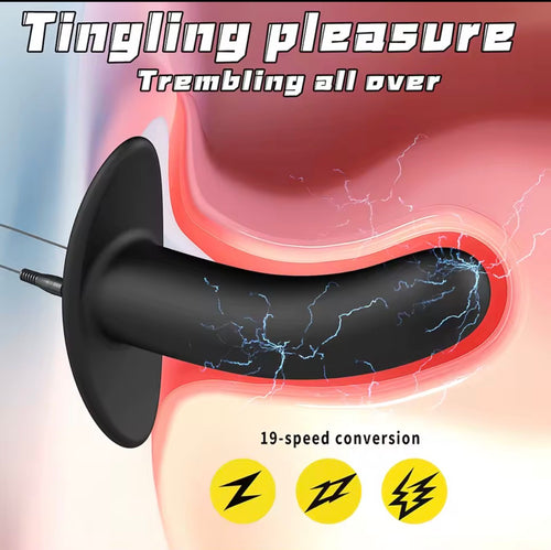 Plug Anal en métal pour débutant