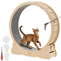 Cat Exercise Wheel, 120cm Wooden Cat Running Wheel for Indoor Cats up